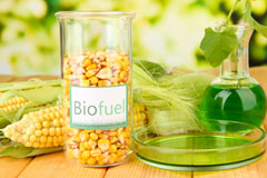 Cargan biofuel availability
