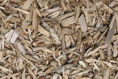 biomass boilers Cargan